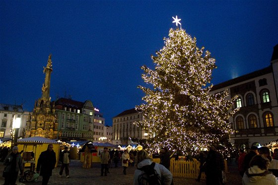 Vánoční strom stojící na Horním náměstí v centru Olomouce. Vlevo v pozadí známá dominanta města, Sloup Nejsvětější Trojice.