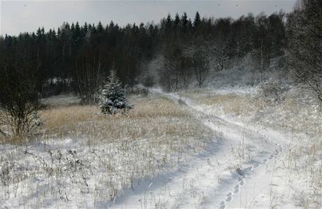 Zima ve vojenskm prostoru Libav.