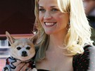 Hereka Reese Witherspoonová s ivavou Bruiserem u své hvzdy na chodníku slávy (1. prosince 2010)