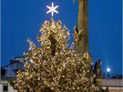 pika vánoního stromu stojícího na Horním námstí v centru Olomouce. V pozadí Sloup  Nejsvtjí Trojice.