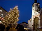 Vánoní strom stojící na Horním námstí v centru Olomouce. Vpravo radnice s orlojem.
