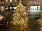 Vánoní strom na Horním námstí v centru Olomouce.