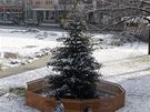Vánoní jedle na zlínském námstí se rozsvítí 2. prosince v 16 hodin.