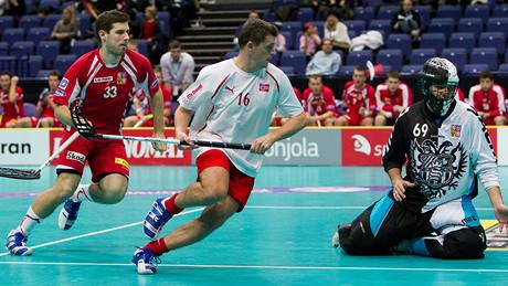 Jan Jelínek (vlevo) v utkání proti Norsku