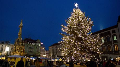 Vánoní strom stojící na Horním námstí v centru Olomouce. Vlevo v pozadí Sloup  Nejsvtjí Trojice.