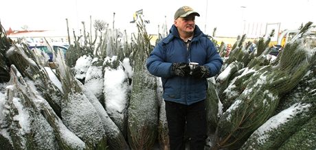 Jaroslavu Mackovi v minulosti zlodji vánoní stromky kradli. Proto se od nich...