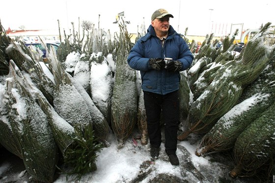 Jaroslavu Mackovi v minulosti zlodji vánoní stromky kradli. Proto se od nich...