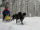 U Tech Studn na rsku trnovali v sobotu majitel psch speen (Pavel Zvolsk).