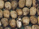 Lebky obtí genocidy nalezené v masovém hrob u vesnice Nyabikenke