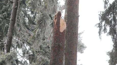 Vyetování pádu vojenského letadla L-39 u Biskupic na Tebísku. (17. 12. 2010)