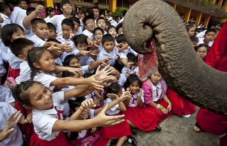 Thajsk kolky obdarovali sloni v oblecch Santa Clause (23. prosince 2010)