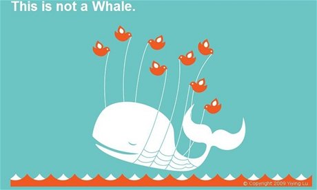 Dnes nebyla na Twitteru vidt ani velryba.