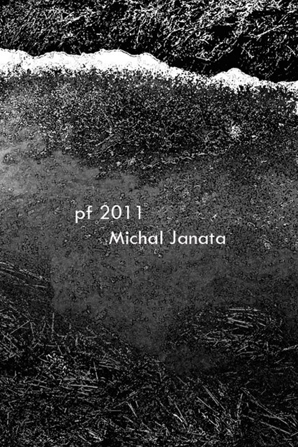 PF 2011 - Michal Janata, publicistka, kritik, esejista
