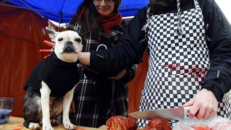 Odprci zabíjení kapr zorganizovali happening Prodej vánoních ps
