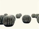 Kaktusy - pufy, na které vás nepopíchají
