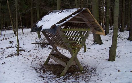 Mu ukradl myslivcm ze sousedního revíru krmelec. Ilustraní foto