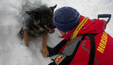 Výcvik lavinového psa v Krkonoích