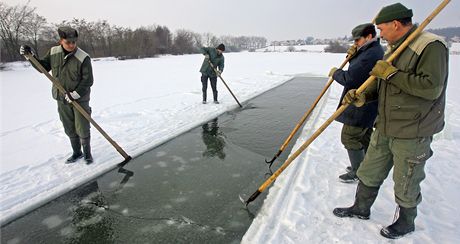 Proezávání ledu na rybníce Pední topole nedaleko Zlivi na eskobudjovicku.