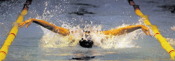 Druhý listopadový víkend se v Jihlavě uskuteční další ročník mezinárodních plaveckých závodů Axis Cup. Ten se navíc letos nově vrátí do kalendáře Českého poháru.