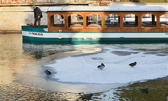 Vyhívaná lo Morava zamrzla na Dyji. Kry ohroují plavbu po zámeckých kanálech v Lednici (6. leden 2010)