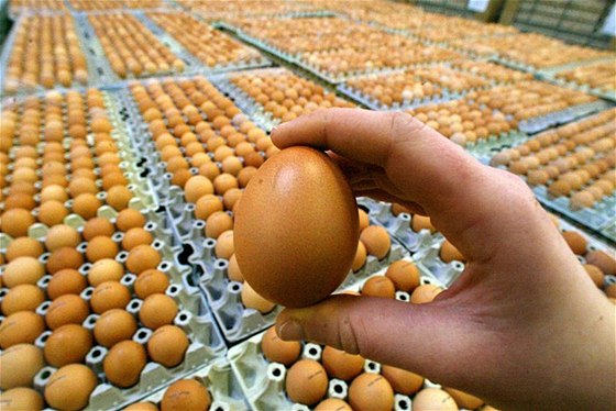 etí veterinái objevili v obchodech tém 2,7 milionu vajec pocházejících z chov s malými klecemi. Vrátili je zpt. Ilustraní snímek