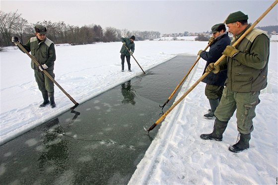 Proezávání ledu na rybníce Pední topole nedaleko Zlivi na eskobudjovicku.