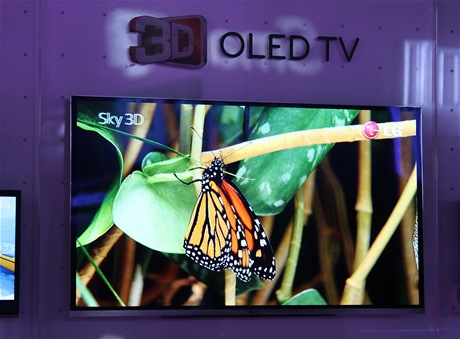 CES 2011 - LG pedstavilo prototyp 3D OLED televize s hlopkou 31 palc. Obraz vypad opravdu vborn.