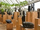 Výstava ve skleníku Fata Morgana v praské botanické zahrad potrvá do 30. ledna