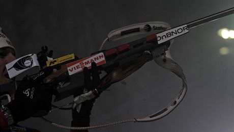 biatlon, ilustra�ní foto