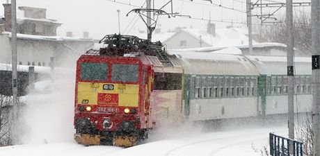 Vlak srazil lovka v míst, kde platí pro veejnost zákaz vstupu. (Ilustraní snímek)