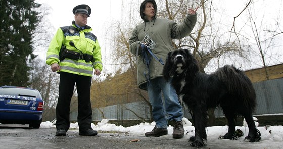 Městská policie kontroluje chovatele psů, zda dodržují vyhlášku a uklízí po svém psovi. 