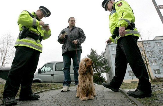 Město s výmluvami lidí moc nenadělá, při kontrolách totiž mohou říct, že venčí psa, který patří někomu jinému. (ilustrační snímek)