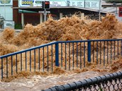 Bleskov povode ve mst Toowoomba (10. ledna 2011)