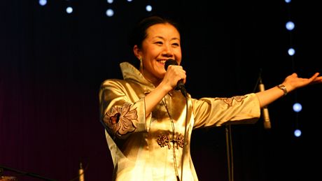 Feng-yün Song