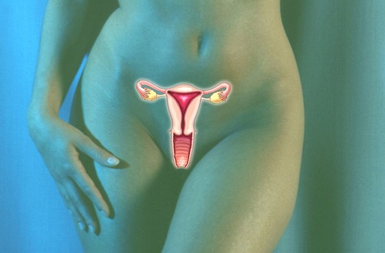 Antikoncepce sniuje riziko rakoviny vajeník (ilustraní snímek)