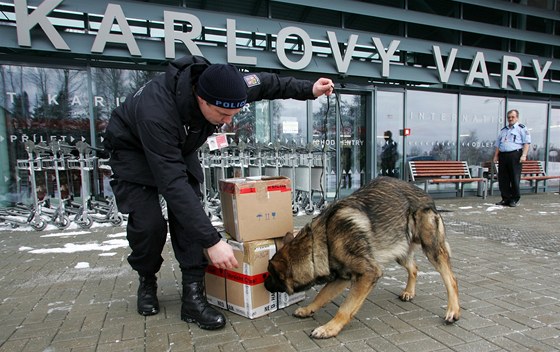 Policejní psovod Petr Zeman a Charis musí zkontrolovat i balíčky, které na letiště přiveze zásilková služba.  
