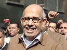 Egyptský proereformní politik Muhammad Baradej podporuje protesty v Káhie (28. ledna 2011)