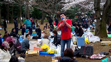 Park Yoyogi: aktuální teplota se pohybuje kolem pti stup Celsia. Místní umlec práv na vyádání pednáí píse "Tomato"