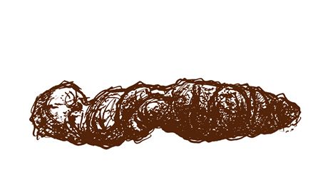 Hovno? (obálka knihy)