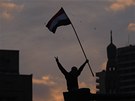 Nepokoje v Egypt (30. ledna 2011)