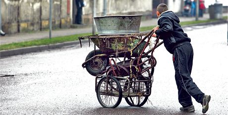 Falený przkum íí nepravdivé informace o Romech (ilustraní snímek).