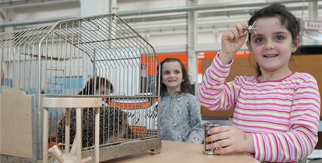 Expozice hlavolam v plzeské Techmanii.