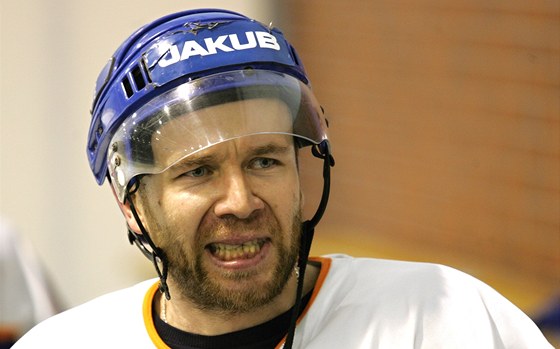 Ladislav Slíek, hokejista Litomic