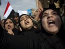 Protivládní demonstrace v egyptské Káhie (1. února 2011)