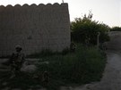 Neocenitelný pomocník SOG - Psi byli eským vojákm v Afghánistánu neocenitelní...