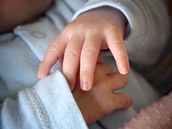 Kojenecký ústav a d�tské centrum v pra�ské Kr�i.