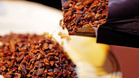 Degustace kvalitní okolády - drcené kakaové boby jako delikatesa