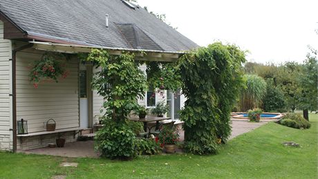 Posezení pod pergolou zpíjemuje hustý porost vistárie a popínavé hortenzie 