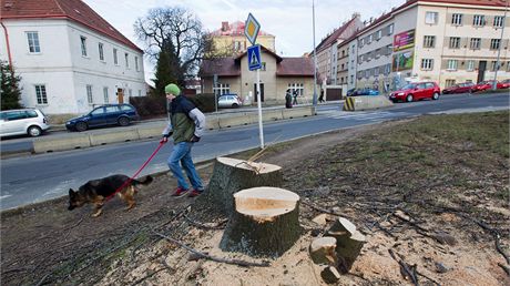 Do Michelské ulice se po pl roce znovu vrátí provoz.