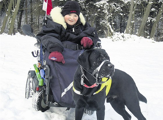 Jeden z mnoha psů, které vycvičili v Pomocných tlapkách, pomáhá Janu Vaňkovi